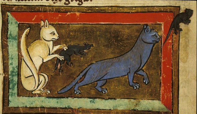 Lock, Stock, and History — peashooter85: Awww Rats! In the 16th Century ...