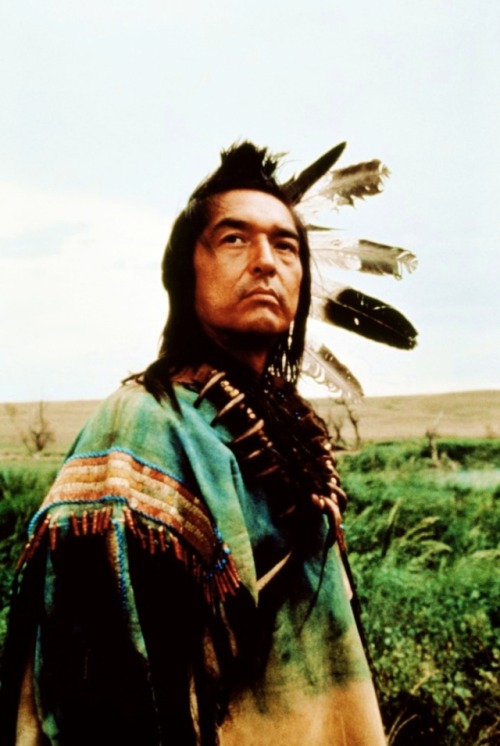 dances with wolves on Tumblr