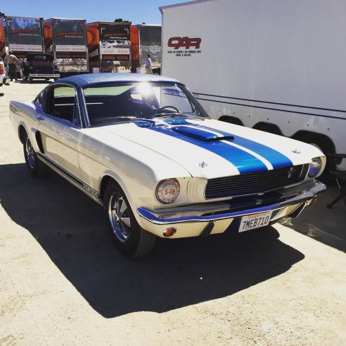 americanmuscle fordmustang vinyltop vintageford mustang americanstyle vintagemustang