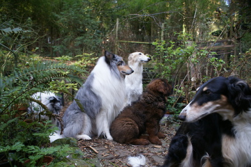 gentlealien:running-dog:Family.(A family of nerds, waiting...