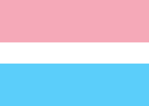 pridesthetic:Bi-Colored Trans Flags and Trans-Colored Bi Flags...