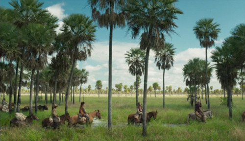 365filmsbyauroranocte:Zama (Lucrecia Martel, 2017)