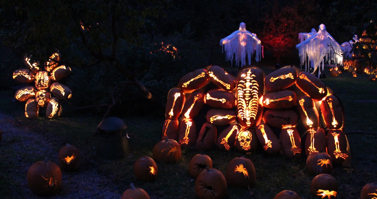 the great jack o lantern blaze