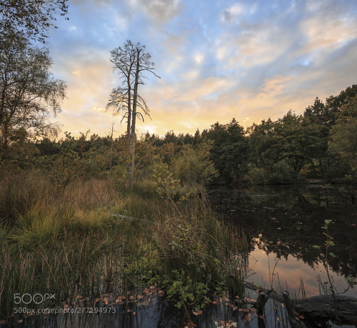 Lake by antonycooperba