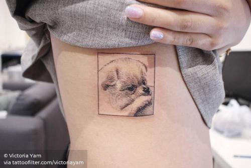 By Victoria Yam, done in Hong Kong. http://ttoo.co/p/35144 animal;dog;facebook;germany;patriotic;pet;pomeranian;realistic;rib;small;twitter;victoriayam