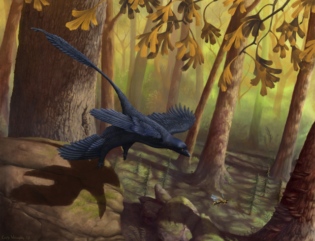 microraptor zhaoianus