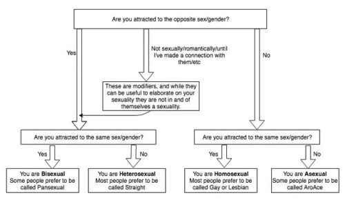 mildlypeevedtran:A handy little flow chart that sums up my...