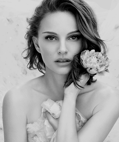dailynatalieportman