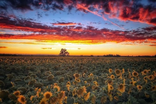 fabskies:Credit: @trudylianephotographymore fab skies here ❤️