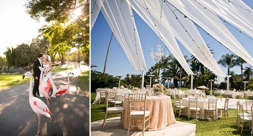 189 Market Wedding Venue Of The Week Santa Barbara Zoo