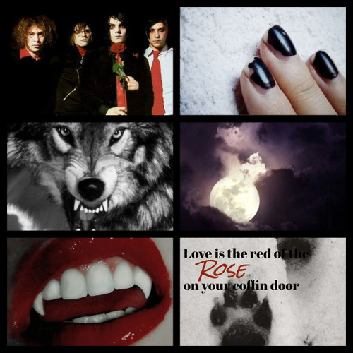 mydark-aesthetic:emobandaesthetics:My Chemical Romance +...