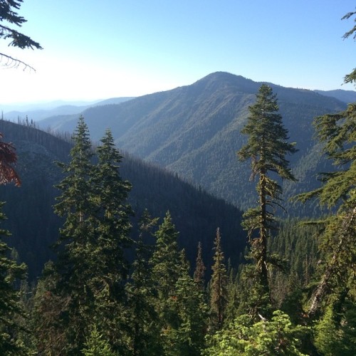 specialopz:Looking out towards the Marble Mountain Wilderness