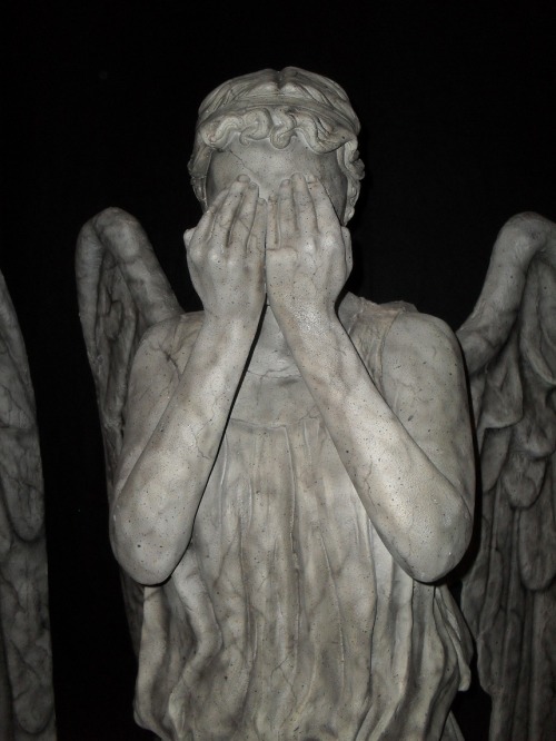 Weeping Angels On Tumblr