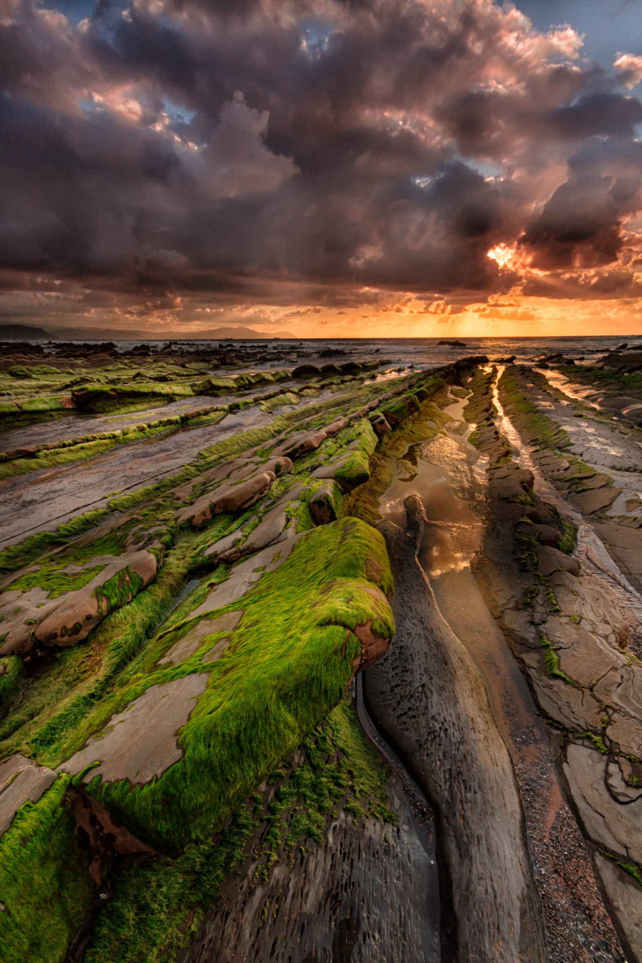 Nature Euphoria — landscape | Lines II | by rgonzalezrioja