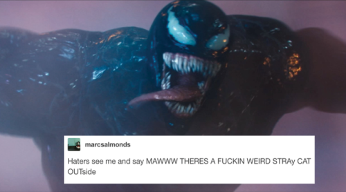 noitsnacktime:venom + text posts 