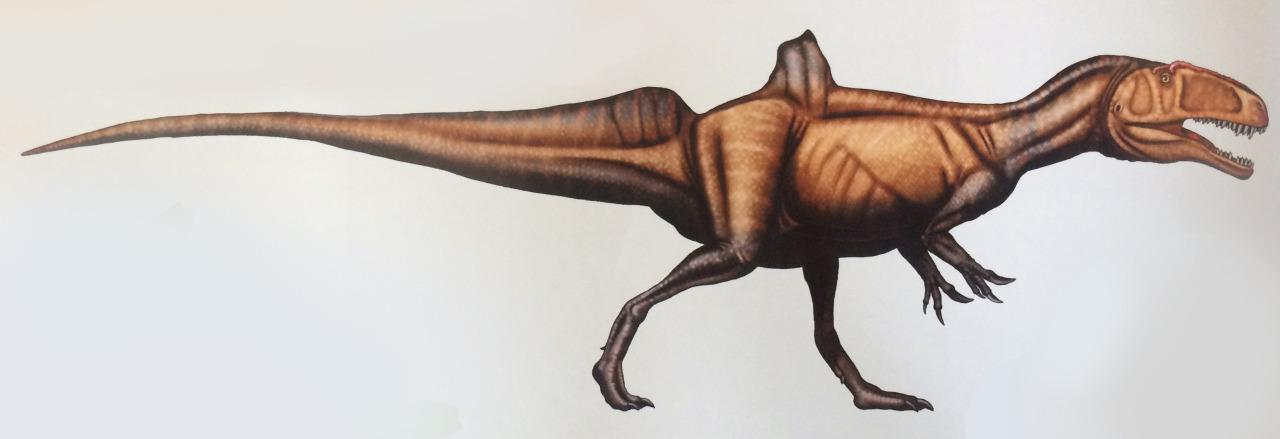 dinosaur with hump on back