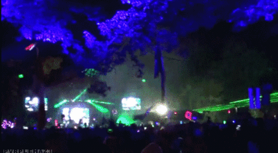 electric forest on Tumblr