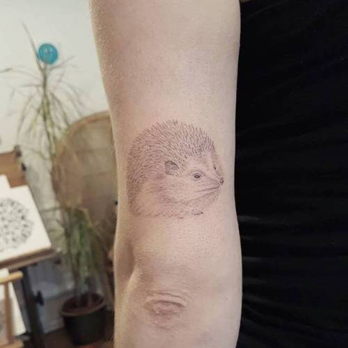 By Sarah March, done at Die-Monde Tattoo, Wadebridge.... small;animal;tricep;tiny;sarahmarch;hedgehog;hand poked;ifttt;little