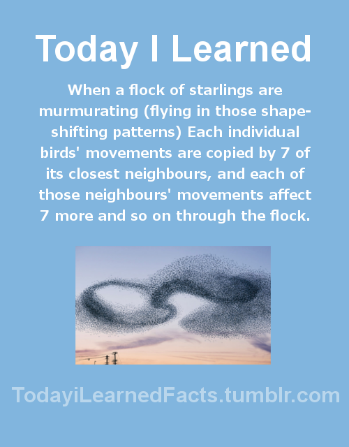 todayilearnedfacts:Follow TodayiLearnedFacts for more Daily...