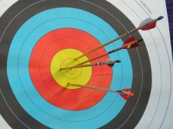 Case Study 14: The Archer