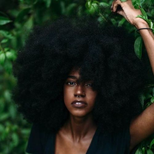 naturalhairqueens:beautiful fro