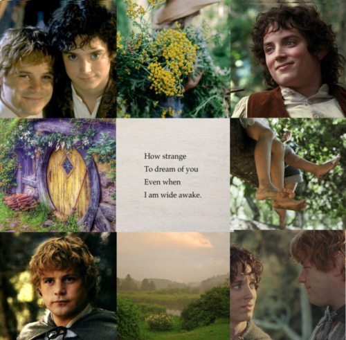 sam and frodo friendship goals odyssey online