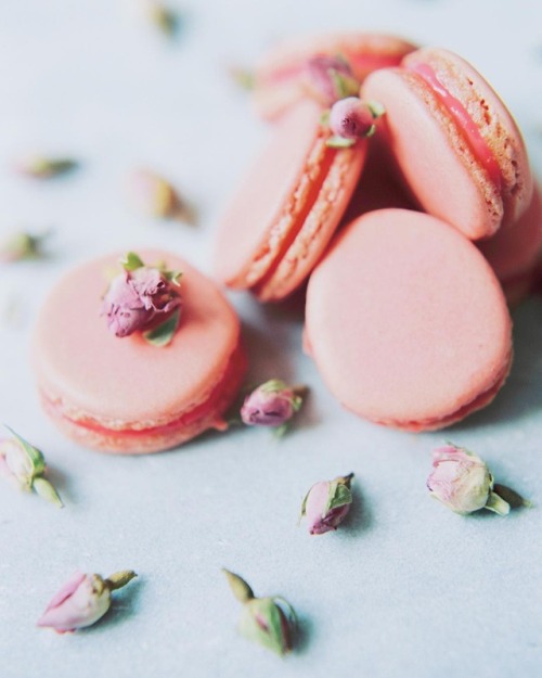 andantegrazioso:Rose-raspberry macarons |...