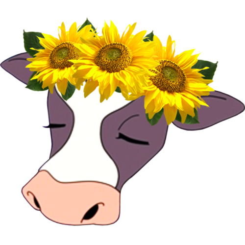 flower crown png | Tumblr