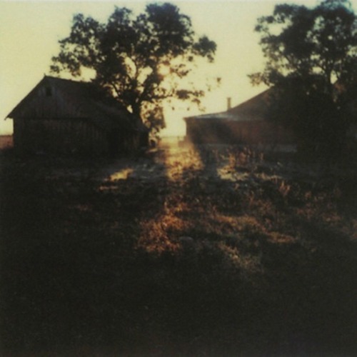 trulyvincent:Andrei Tarkovsky polaroids