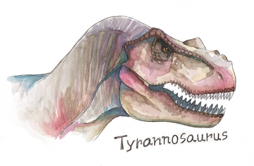 まめとつぶ リアル寄りのティラノサウルス 一番大好きな恐竜なんで