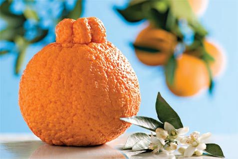 Good Taste - Sumo Citrus: possibly the sweetest fruit you'll...