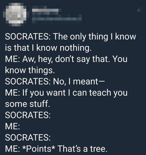 whitepeopletwitter:That’s a tree, Socrates