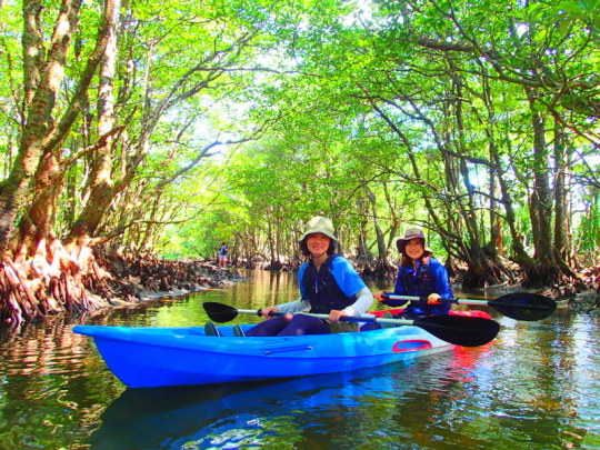 家族旅行で人気のアクティビティツアー体験を、子供たちに大人気マングローブをカヌーで漕いでジャングル探検トレッキング滝巡りで最高の夏休みを過ごそう！