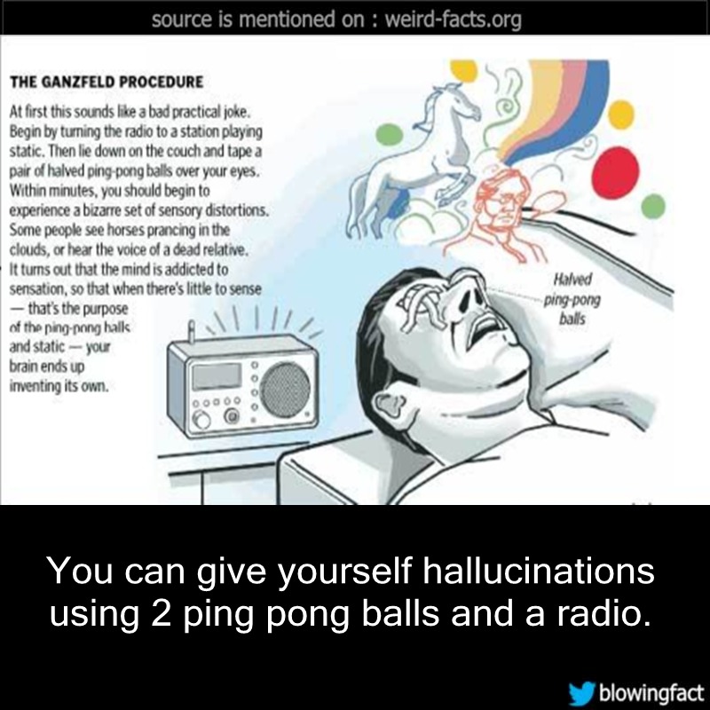 Weird Facts You Can Give Yourself Hallucinations Using 2 Ping