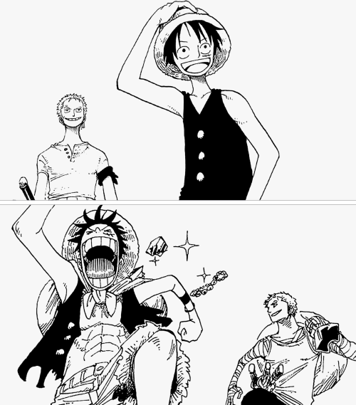 Zoro understands Luffy