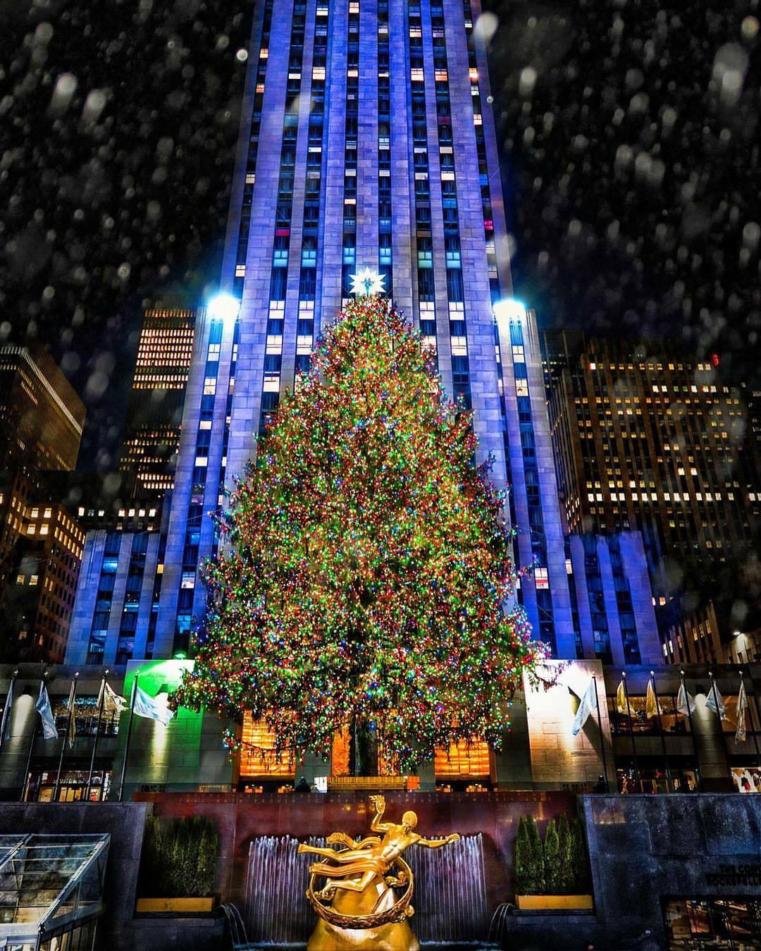 Rockefeller Center Christmas Tree by Gina Brake