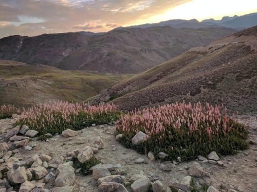 Deosai plain....