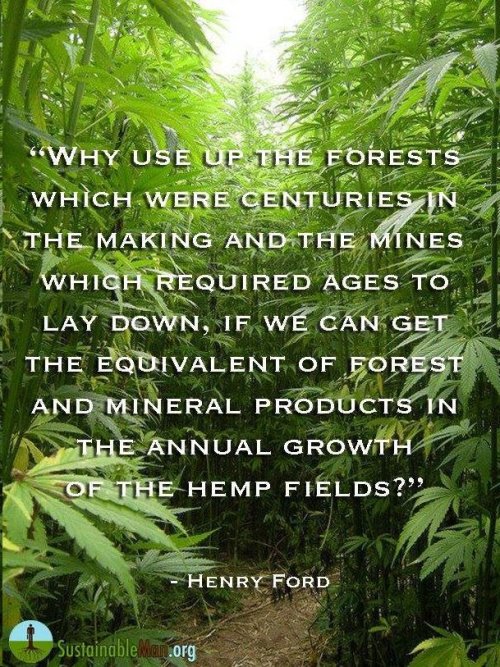 Hemp On Tumblr