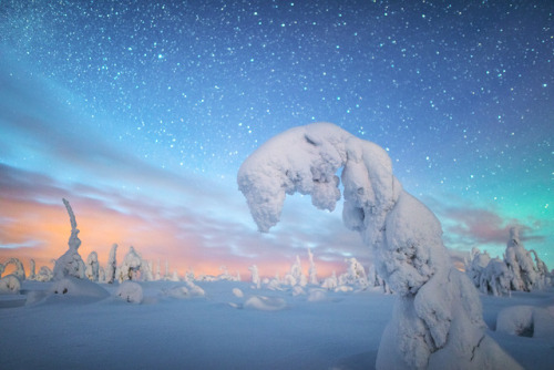 tiinatormanenphotography:Winter magic. Lapland, Finland.by...