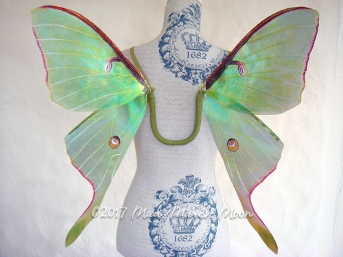 sosuperawesome:Wearable WingsMad March Moon on EtsySee our...