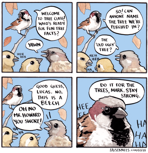 falseknees:Fledglings are the future