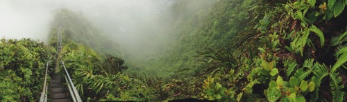 jdagups:alpha-peasant:O’ahu 2014// Panoramic...