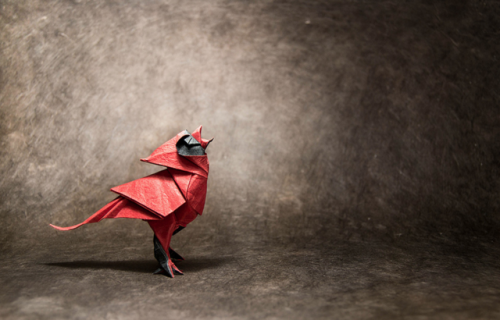 seraphica:Origami birds - folded by Gonzalo [flickr]