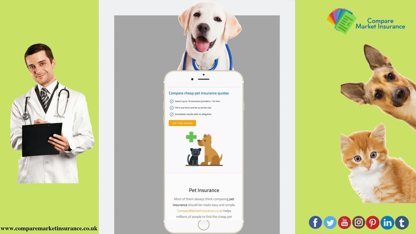 Cheap Pet Insurance For Dogs Uk