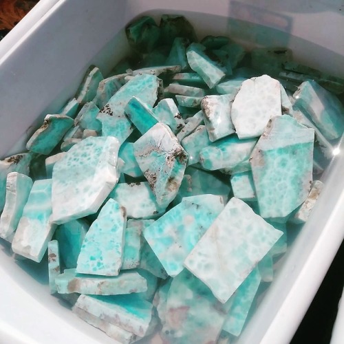 mineralsnstuff:Sonora Sunrise, Larimar, Grape Agate,...