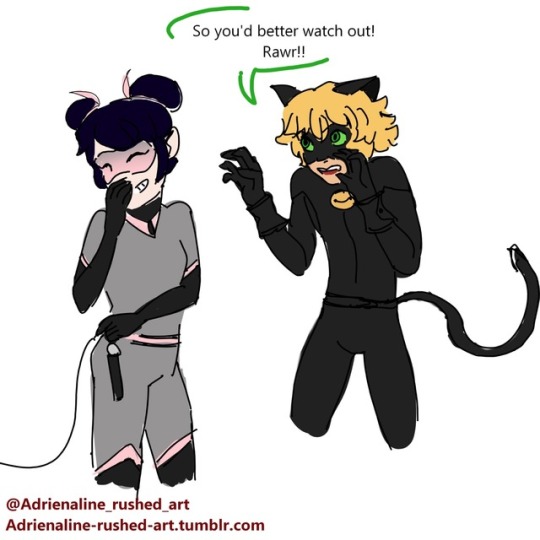 Chat Noir Flirting Tumblr