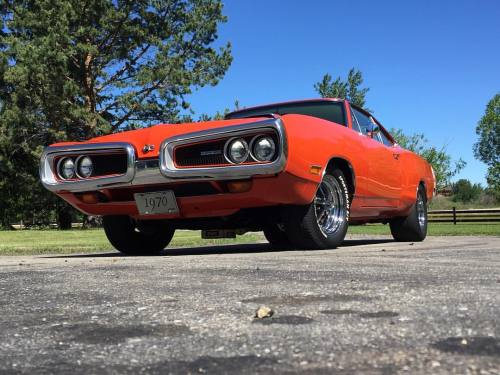 downtown-somersbrown:#mopar #superbee #1970superbee #alberta...