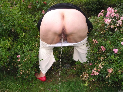 manorpet:Rear view pissers 14