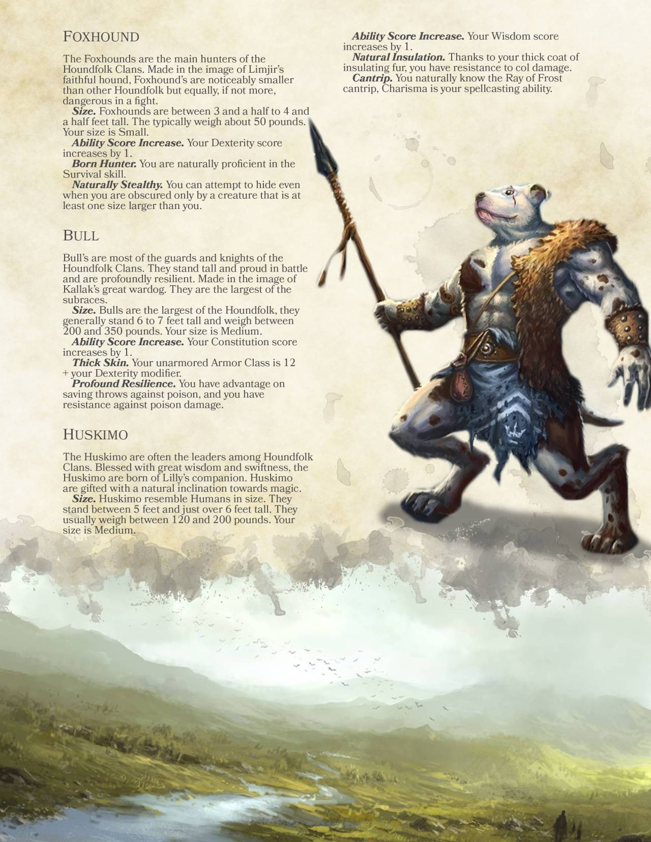 dungeons and dragons playable races 5e