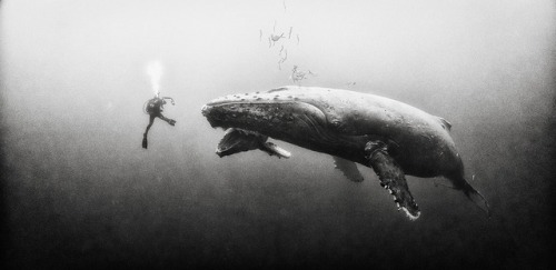 escapekit:What Lies Under the SeaAnuar Patjane Floriuk is a...